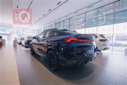 بی ئێم دەبڵیو X6